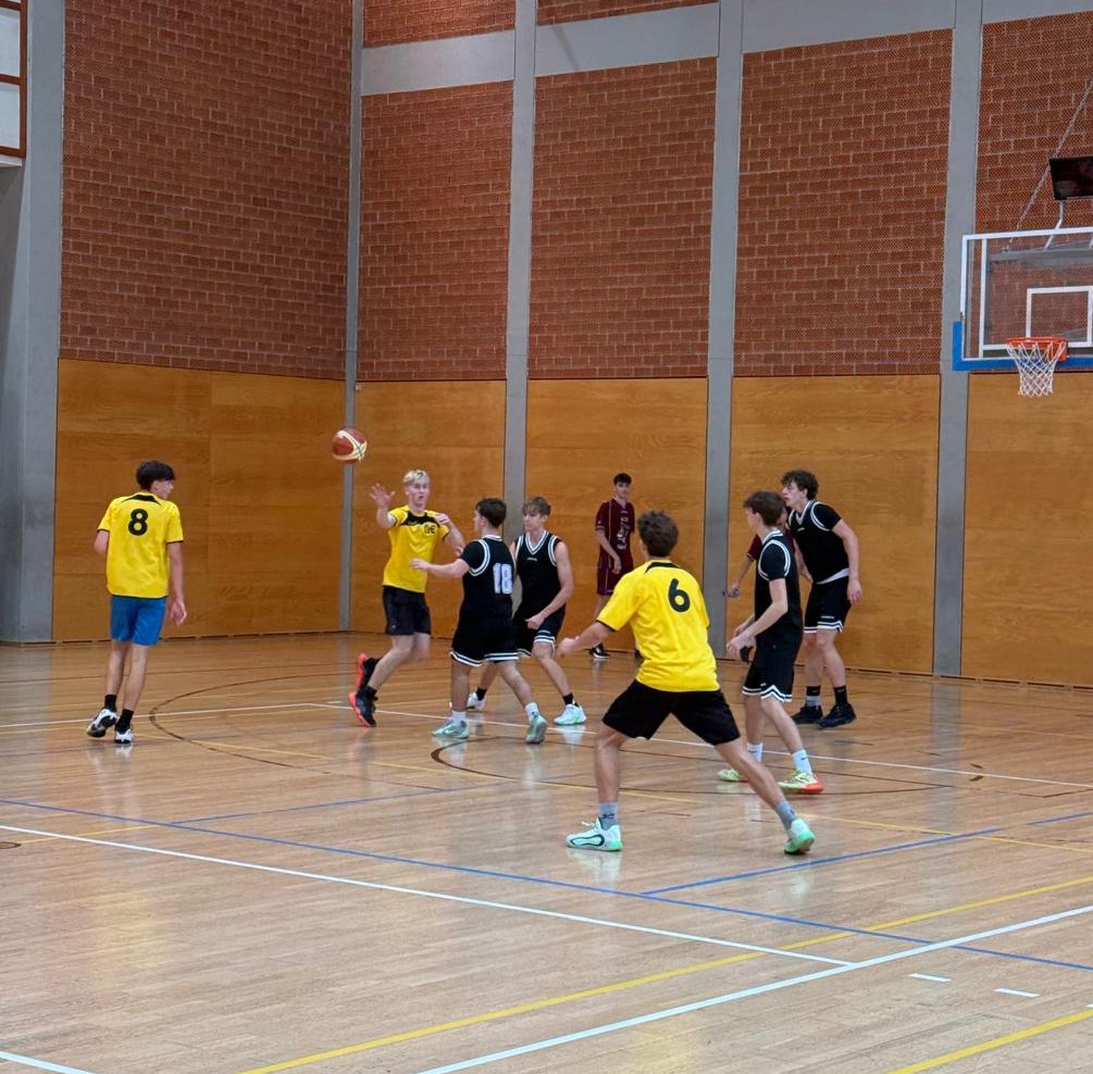 basket