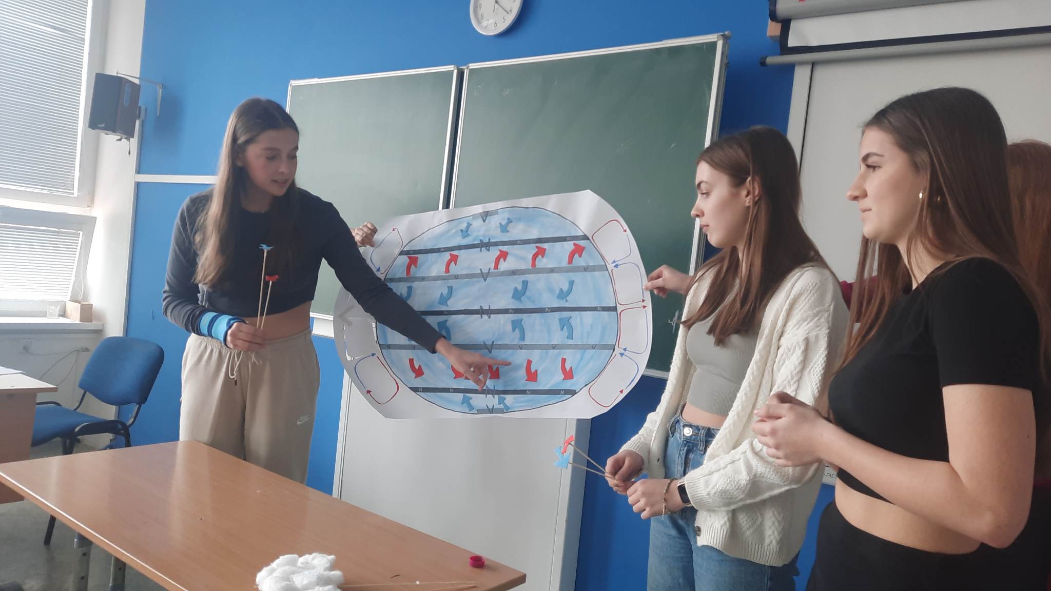 projekt