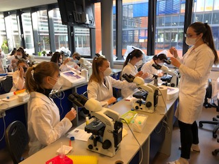 bioskop