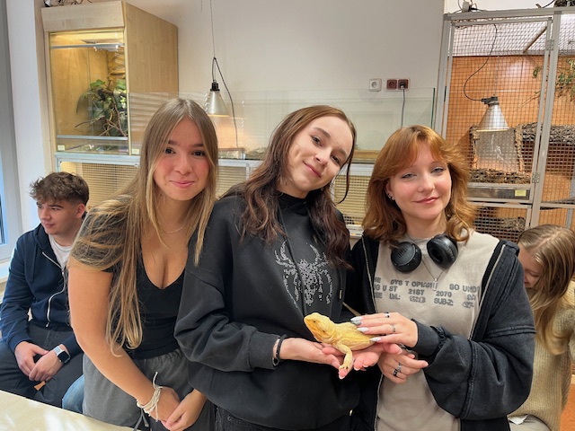 terapie