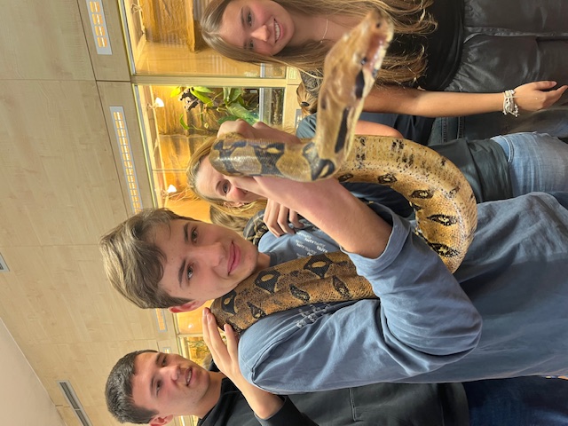 terapie
