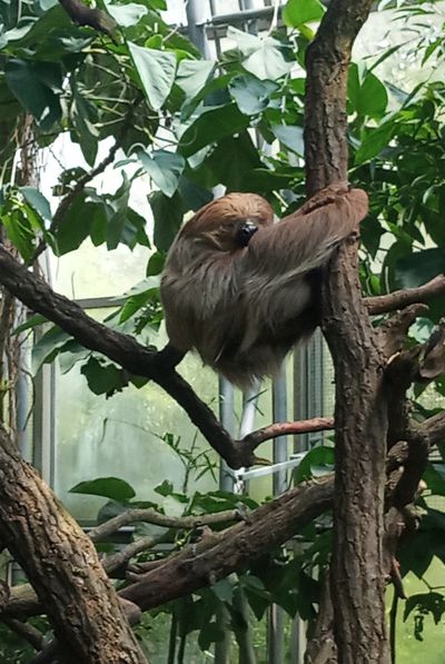 Fotka ze zoo
