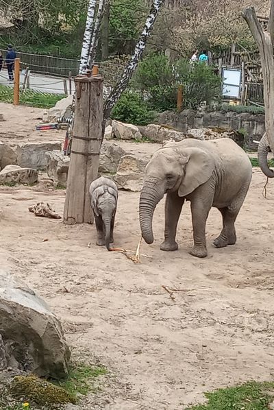 Fotka ze zoo