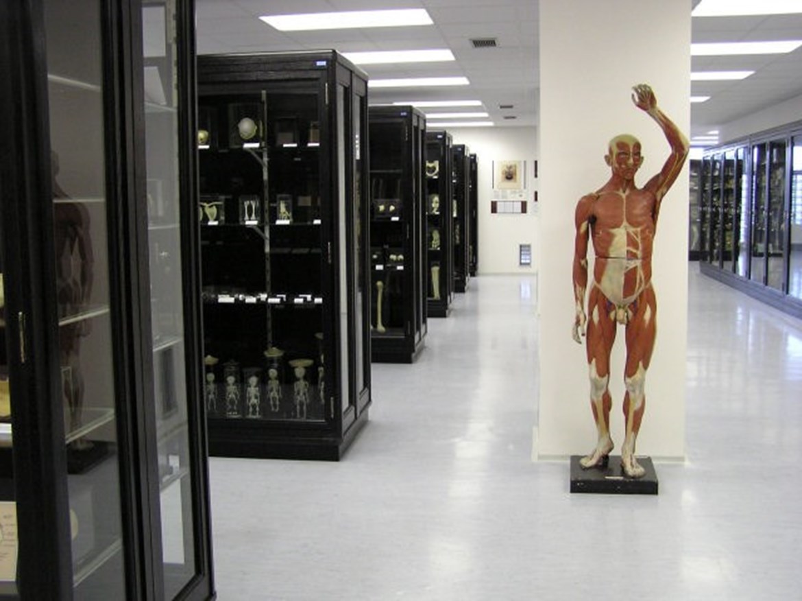 muzeum
