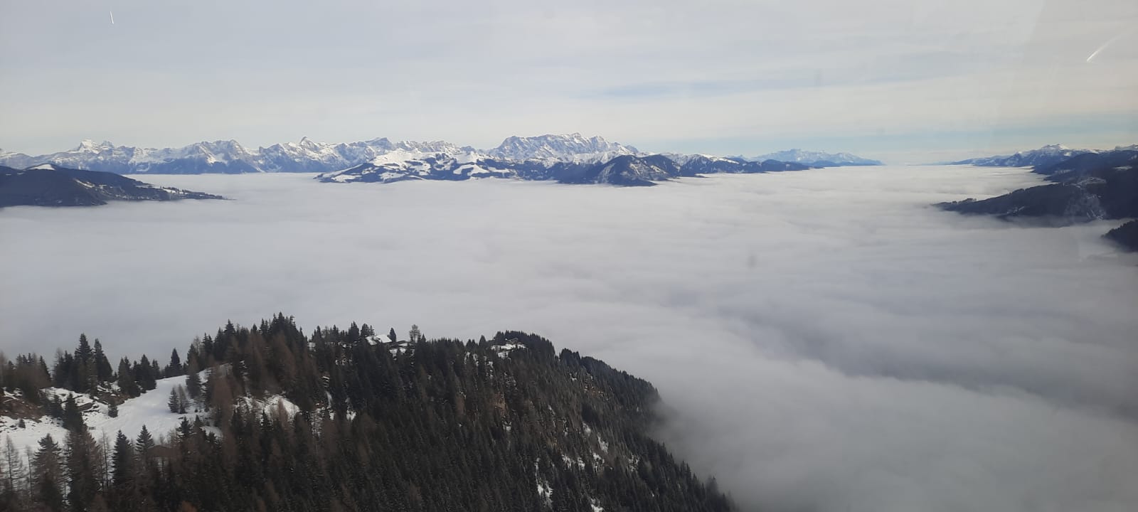 lyže